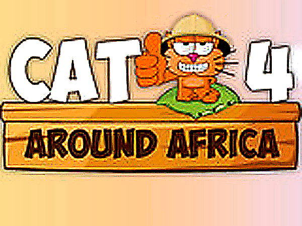 Feline Sand Scramble