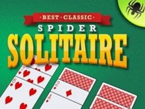 Spider Solitaire Classic Puzzle