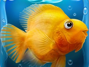 Virtual Fish Care Simulator
