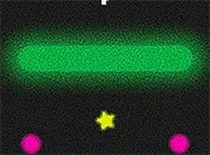 Split Retro Arcade Online Game
