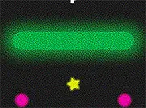 Split Retro Arcade Game