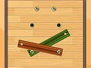 Unscrew Them All Puzzle Game