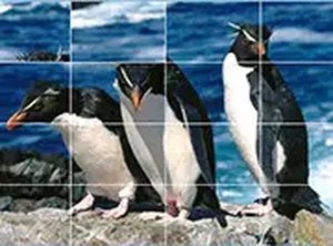 Penguins Slide Puzzle Game